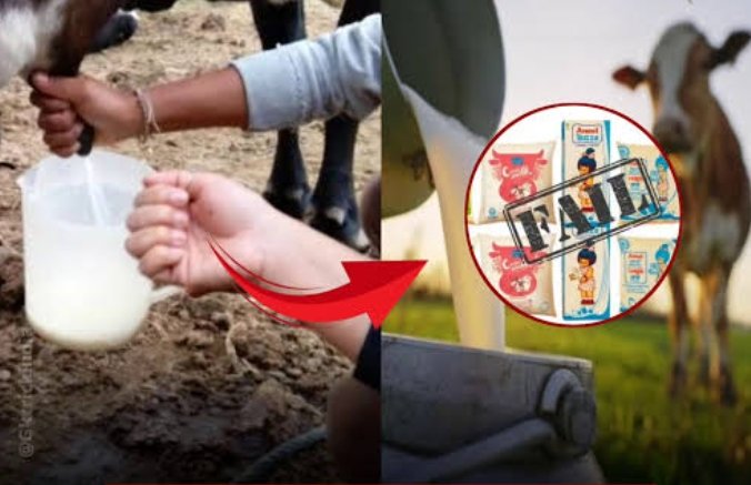 Screenshot_2026-02-13-17-16-45-19_680d03679600f7af0b4c700c6b270fe7