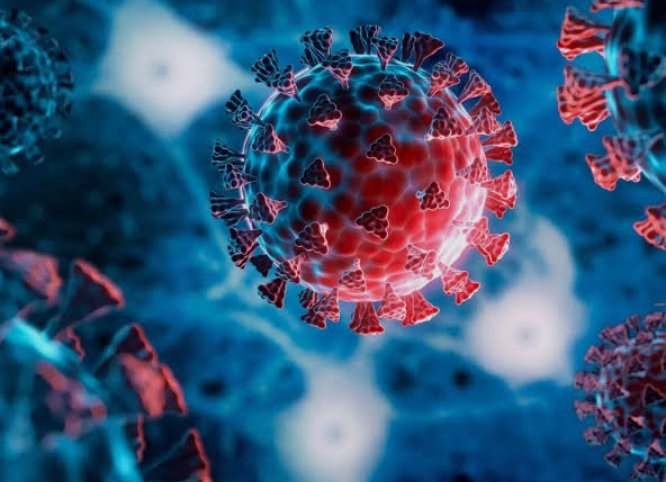 Screenshot_2026-02-17-20-05-21-94_680d03679600f7af0b4c700c6b270fe7