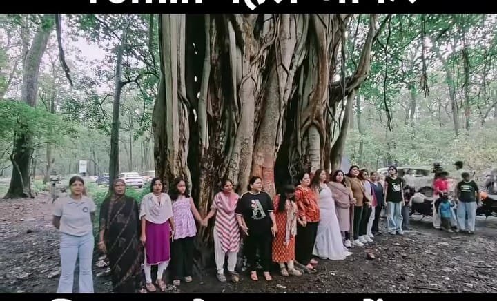 chipko
