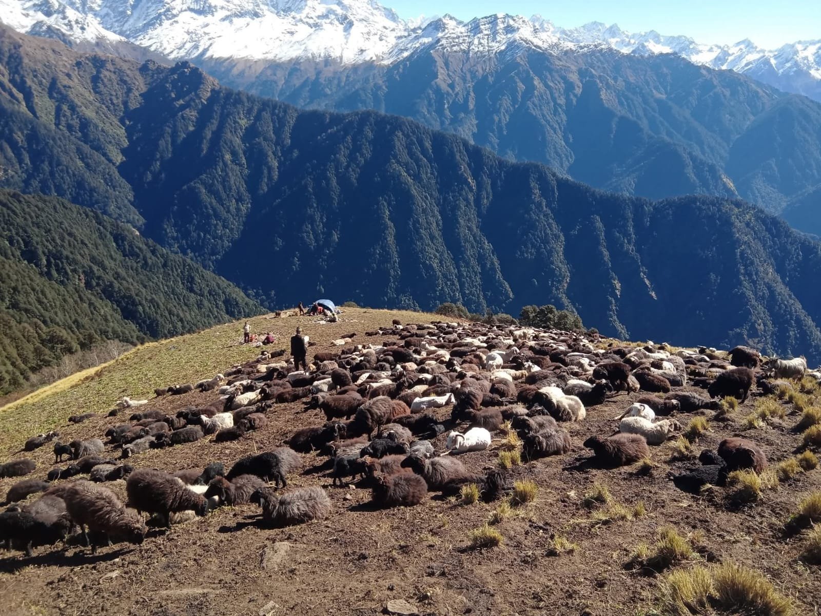 ukhi